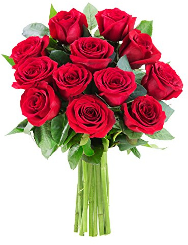 KaBloom PRIME NEXT DAY DELIVERY - The Romantic Classic Bouquet of 12 Fresh Red Roses .Gift for Birthday, Sympathy, Anniversary, Get Well, Thank You, Valentine, Mother’s Day Fresh Flowers