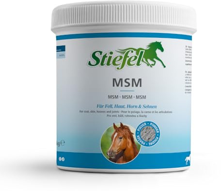 Stiefel MSM, 1 kg Tüte, Pulver