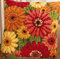 VERVACO Kreuzstich Stickpackungen Kissen Stickerei Set Anfänger Vorgedruckt Gerbera DIY Set Kreativ Set Für Erwachsene Dekoratives Kissen ca. 40 x 40 cm Bastelset Handwerker Haus Dekoration
