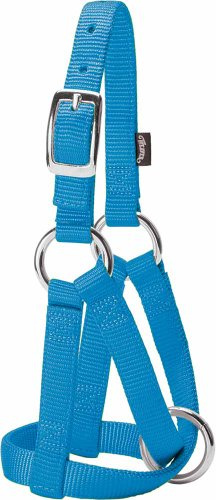 Weaver Leather Livestock Goat Halter, Hurricane Blue, Small/3/4-Inch