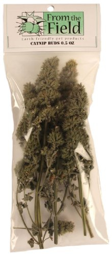 from The Field | Premium Whole Catnip Buds for Cats | Organic, USA-Grown, Fresh & Potent | Natural, Eco-Friendly Cat Treat for Play & Relaxation | Catnip for Indoor Cats | Resealable 0.5 Oz Bag