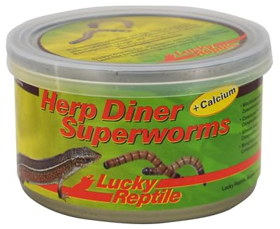 Lucky Reptile Herp Diner Superworms 2 x 35g - Camole della Farina XXL cotti con Calcio - Cibo per pogona Fresco dalla lattina - Cibo per Uccelli con Osso di Seppia - Vermi, Cibo per rettili