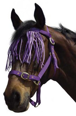 browband type fly fringe - purple - pony
