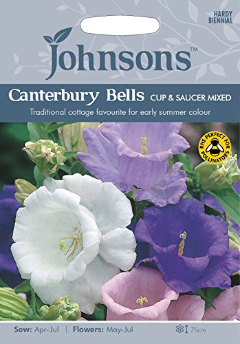Johnsons Canterbury Bells Cup & Saucer Mixed