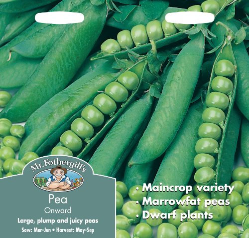Mr Fothergill?s Seeds Ltd 20455 Mr Fothergill's Pea Onward, Green