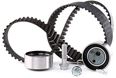INA 530 0491 10 kamrem kit