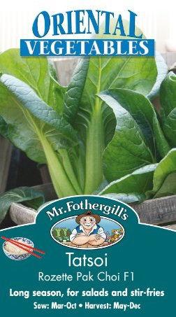 Mr Fothergill's TATSOI Rozette Pak Choi F1