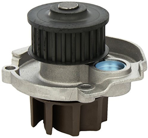 DOLZ S320 Bomba de Agua