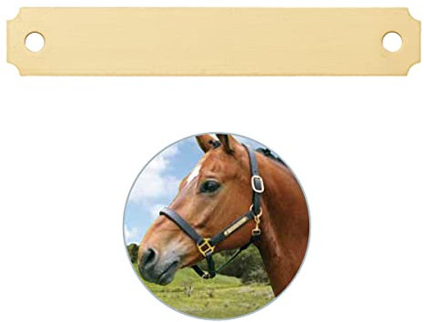 Placa de Caballo con Grabado – Medio (Interior Redondeado) – para Cabestro, trense, establo