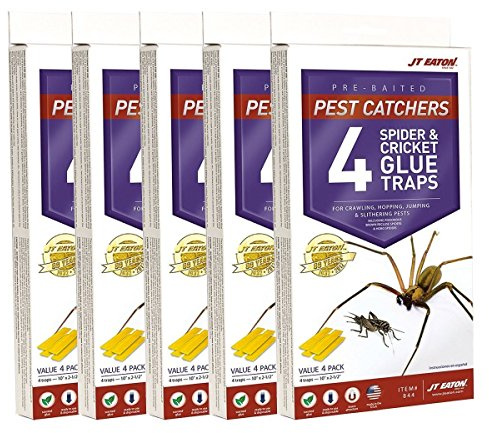 J T Eaton 076706844002 Spider and Cricket Glue Trap (Pack of 5), White Box