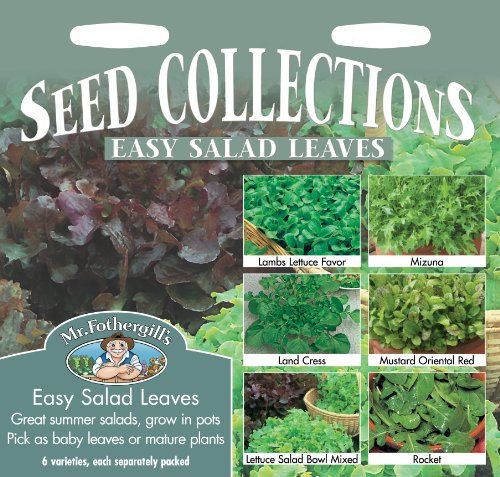 Mr Fothergill's Seeds Easy Salad Leaves 6 varieties , each separately packed Lambs lettuce favor , Mizuna , Land Cress , Mustard Oriental Red , Lettuce Salad Bowl Mixed , Rocket