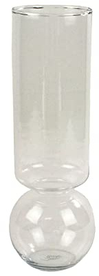 Paperwhite Bulb Vase, Tall Clear, 1-Count, Fits Bulb 2 to 2¾