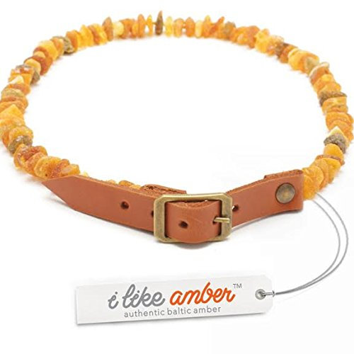 ilikeamber.com Bernsteinhalsband Hunde, Bernsteinkette Hund mit Ledergurt, Zeckenschutz Katze, Baltischer Bernstein aus Litauen