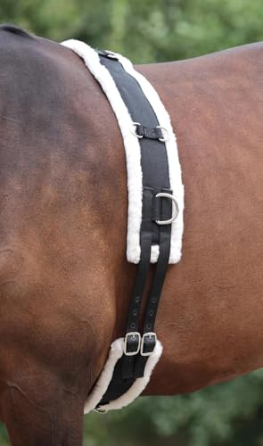 Shires - Longiergurt, Nylon (XFull) (Schwarz)