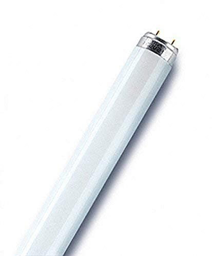 OSRAM - Tubo fluorescente lineal 18W G13 luz neutra fría 8.000 horas