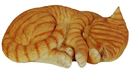 Vivid Arts Real Life Katze, schlafend, rot (Größe B)
