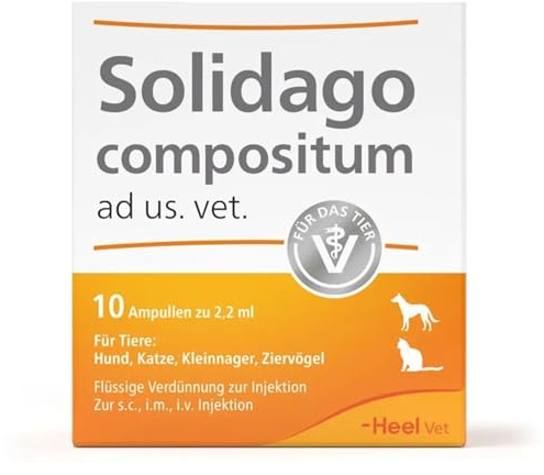 Solidago compositum ad us. vet. 10 Ampullen. Bestandteil der SUC-Kombination | Natürliches Tierarzneimittel für Katzen, Hunde, Kleinnager und Ziervögel | Made in Germany