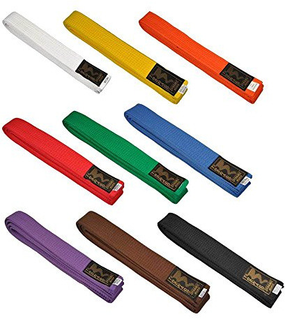 Tornado Budogürtel einfarbig 4 cm breit 300 orange