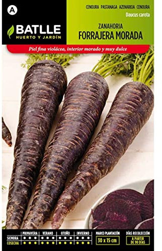 Semillas Batlle Carotte FOURRAGERE Violette, Violet