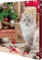 Trixie 9269 Vorweihnachtszeit Adventskalender für Katzen, 30 × 34 × 3,5 cm
