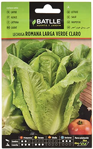 Semillas Batlle LAITUE Romaine Longue Vert Clair