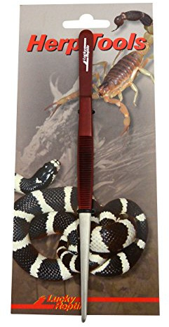 Lucky Reptile foderpincett 20 cm rak