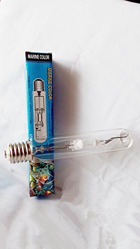 Marine Farbe Marke 400w 10.000 HQI Single Ended E40 Sockel Metall-Halogen-Glühlampen