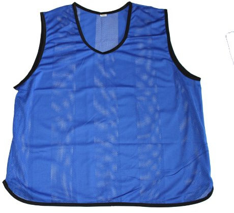 Lisaro Leibchen - Qualitäts Trainingsleibchen, 10-er Pack Kennzeichenhemden/Markierungshemden (blau, Senior)