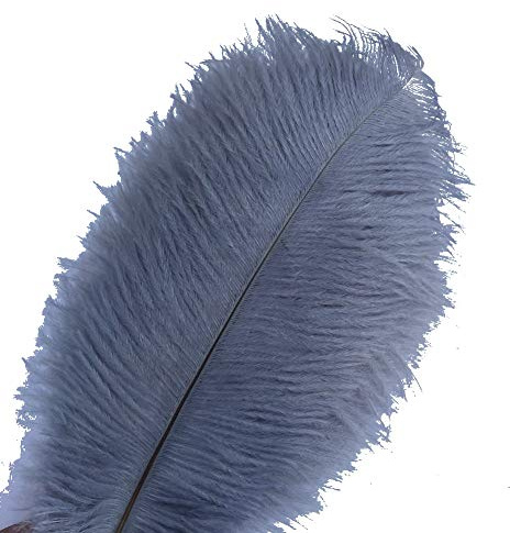 Sowder 10pcs Ostrich Feathers 12-14inch(30-35cm) for Home Wedding Decoration(Grey)