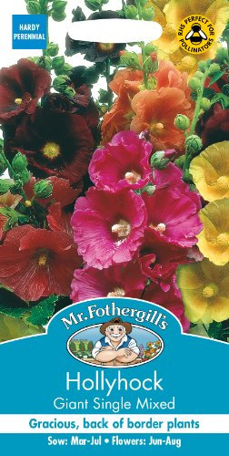 Mr Fothergill's Hollyhock Giant Single Mixed