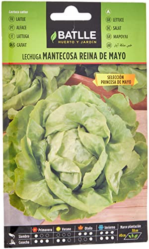 Semillas Batlle Lattuga R.Mayo - PRINCIPESA MAGGIO