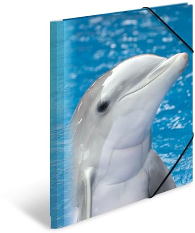 HERMA 7141 Carpeta de dibujo Animales con motivo Delfines, A4, plástico resistente, con impresión interior, carpeta de 1 palmo