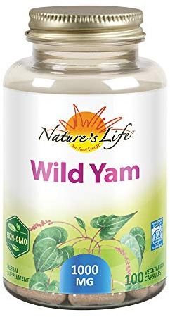 Nature's Life Wild Yam 1000mg Herbal Supplement | Womens Health Formula | with Diosgenin for Healthy Balance Support | Non-GMO | 100 Veg Caps