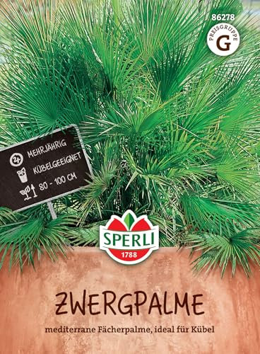 Sperli Zwergpalmensamen 86278 - mediterrane Fächerpalme, ideal für Kübel - Inhalt für 5 Pflanzen - Wuchshöhe 80 bis 100 cm - Palmensamen, Saatgut