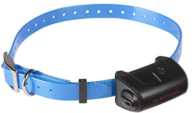 NUM'AXES Collier Seul/SUPPLEMENTAIRE Collier Seul CANICOM 5 avec Sangle Bleue