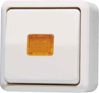 Jung 602KOA Wipp-Kontrollschalter aus 2-polig