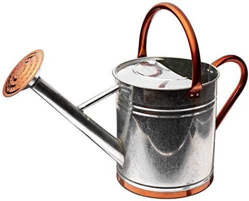 Gardman 8330 Galvanized Watering Can with Copper Accents,  1.9 Gallon