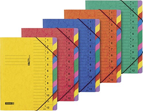 Brunnen Ordnungs-/Fächermappe Fact, Manilakarton, 530 g/qm, A4, 12-teilig, mehrfarbig