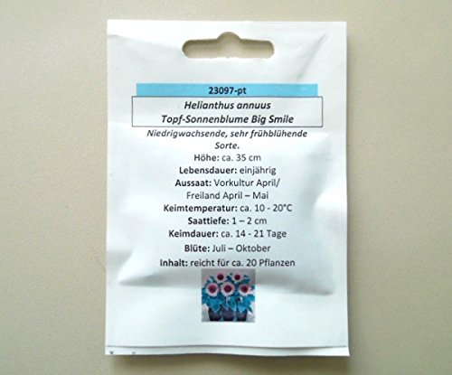 Topf-Sonnenblume Big Smile Heliantus für ca. 20 Pfl. Sonnenblumensamen Sonnenblumensaat Sonnenblumenkerne