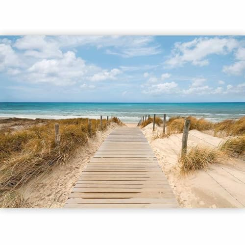 Fotomurales B&D XXL 300x210 cm Papel pintado tejido no tejido Decoración de Pared decorativos Murales moderna Diseno Fotográfico paisajes naturaleza mar playa c-a-0054-a-c