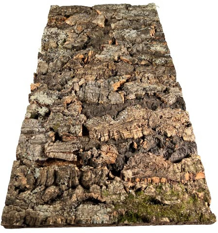 EKB-Kork Rückwand Kamari Zierkork für Terrarien (600 x 300 mm)