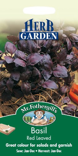 Mr Fothergill's 21561 Herb Seeds, Basil Red Leaved