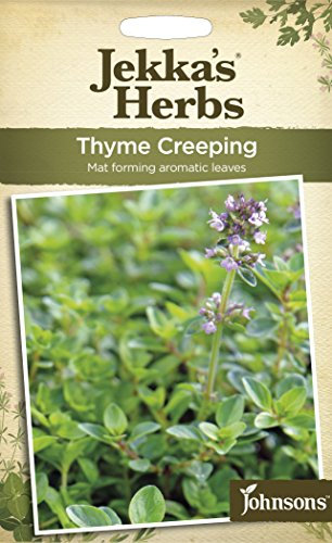 Johnsons UK/JK/HE Thyme Creeping
