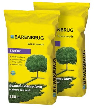 Rasensamen Barenbrug Shadow 10 kg - Great in Grass - Schattenrasen Grassamen