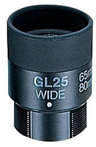 Oculaire Vixen GL25 Wide