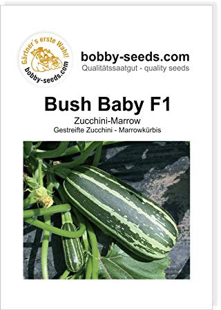 Bush Baby F1, Marrow Zucchinisamen von Bobby-Seeds, Portion
