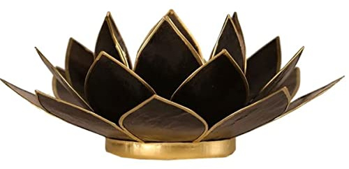 Find Something Different Lumière lotus noire photophore