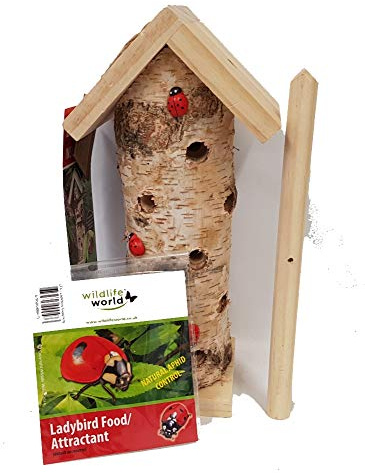 Ladybird House Plus Ladybird Food