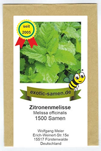 Zitronenmelisse - Melissa officinalis - 1500 Samen