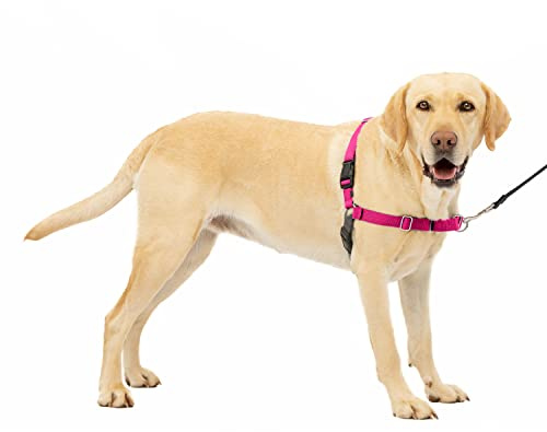 PetSafe Easy Walk - Arnés Antitirones para Perros, 4 Puntos de Ajuste, Adiestramiento de Perros, Evita Asfixia, Fácil de Poner y Quitar - Frambuesa - Grande, L